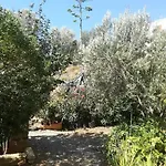 Athina Apartamento