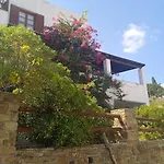 Athina Apartamento Batsi (Andros)