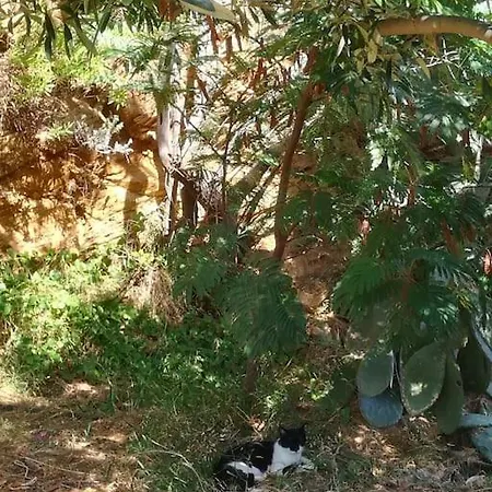 Appartement Athina Mpatsi