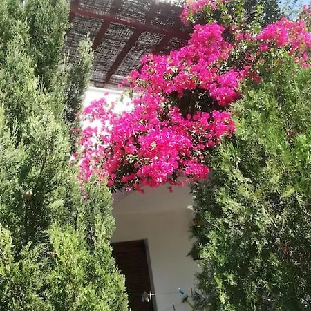 Athina *