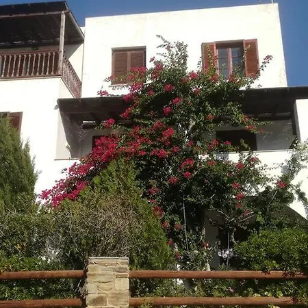 Athina * Batsi (Andros)