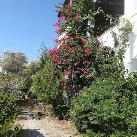 Athina * Batsi (Andros)
