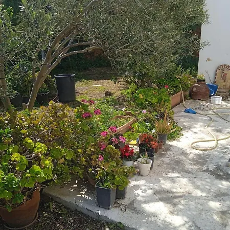 Appartamento Athina *