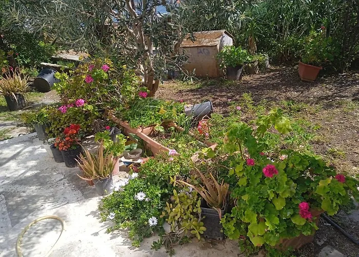 Athina Apartament Batsi